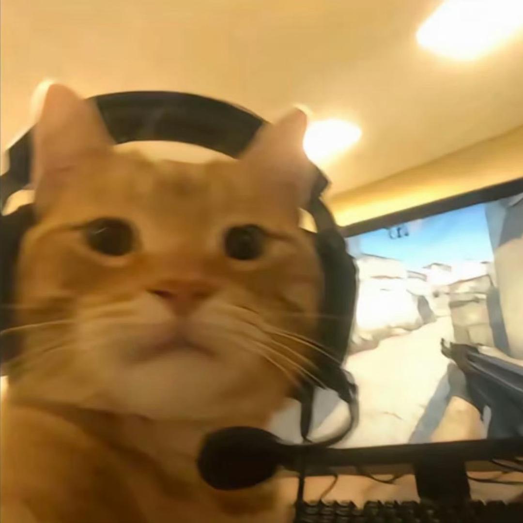 起名究极困难用户