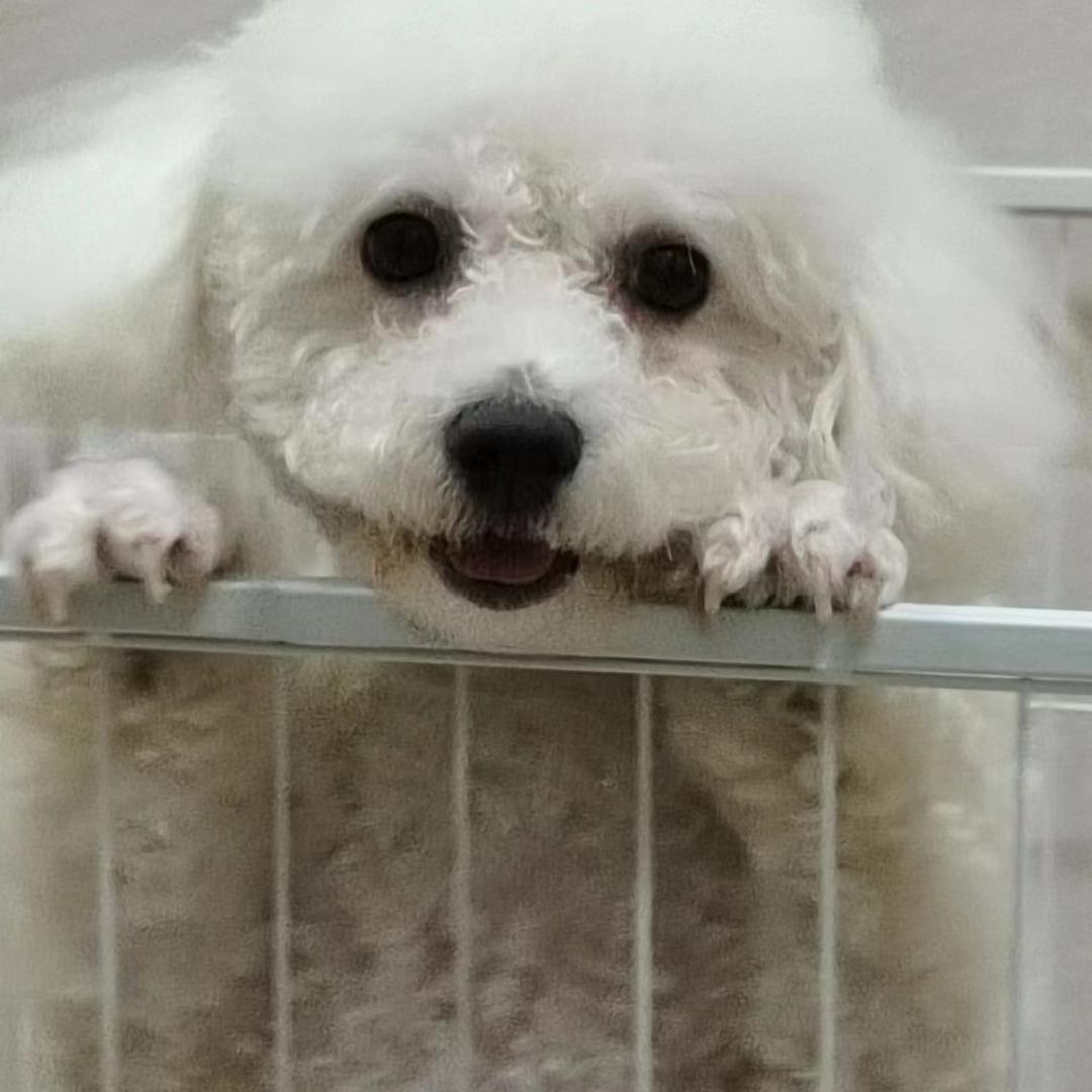 欧尼与嘟嘟