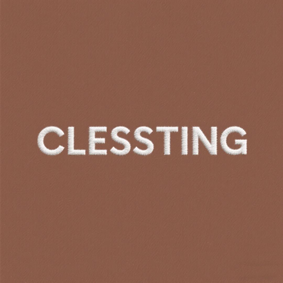 CLESSTING
