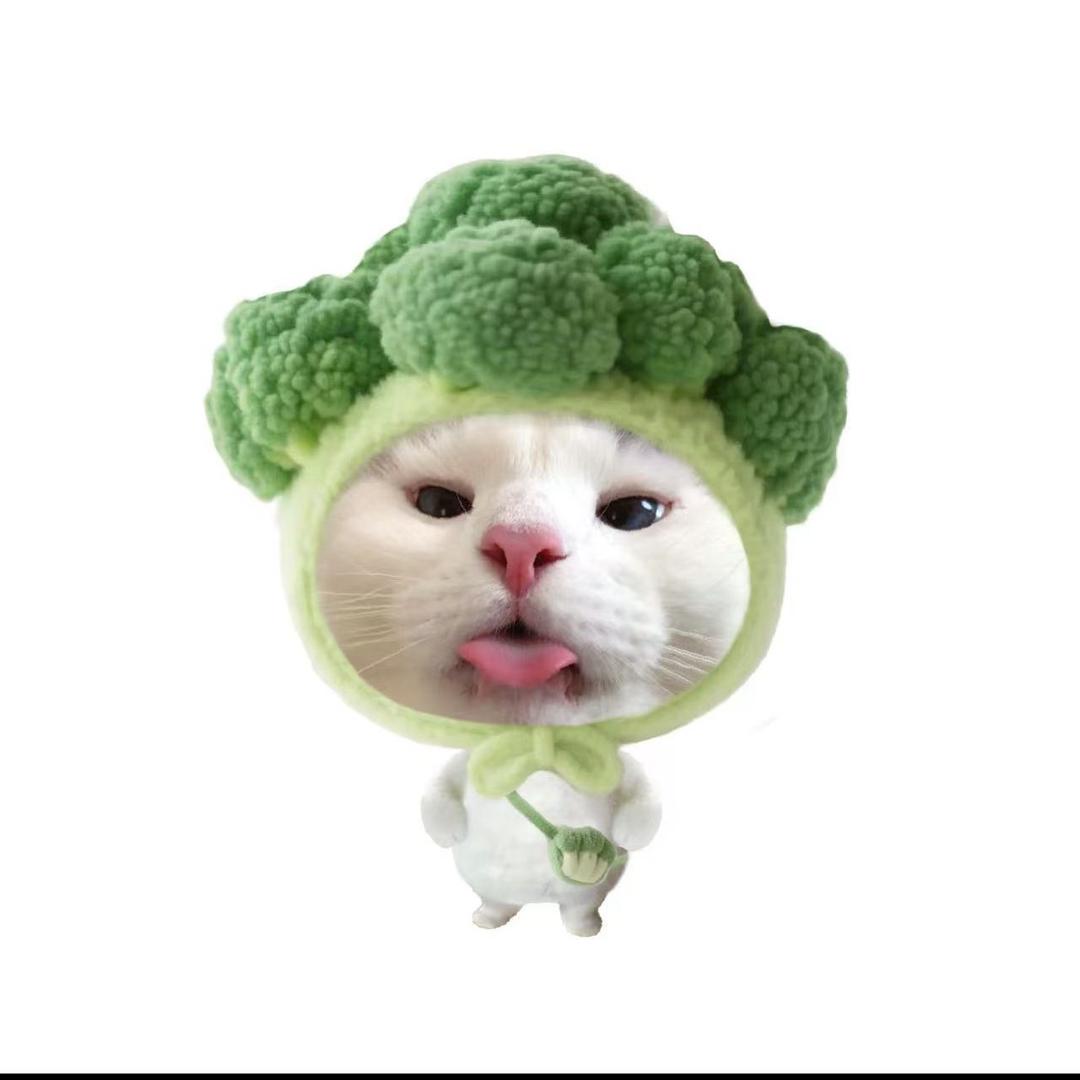 你别皱眉了