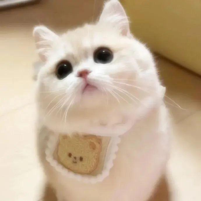 幸运包
