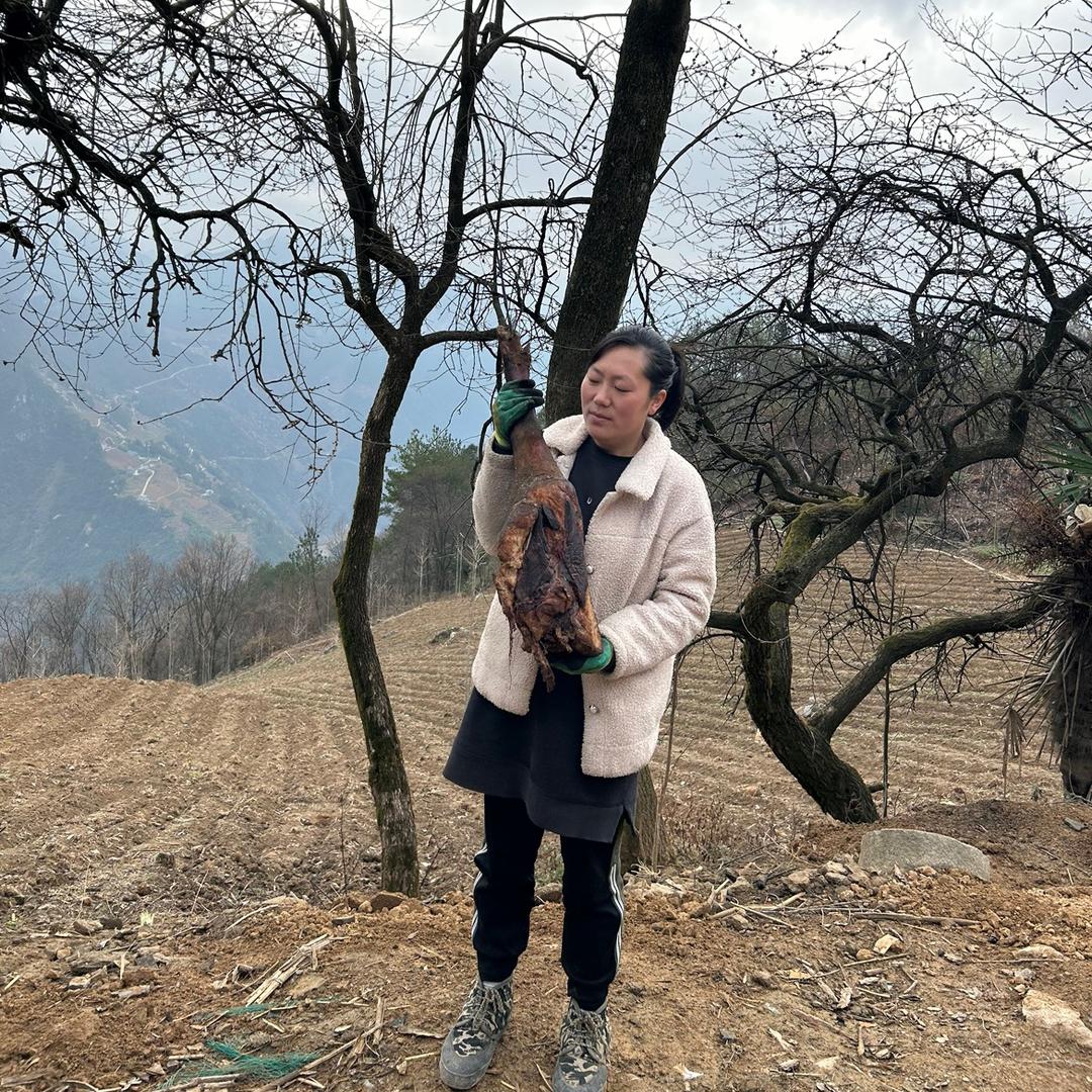 李燕跑山猪