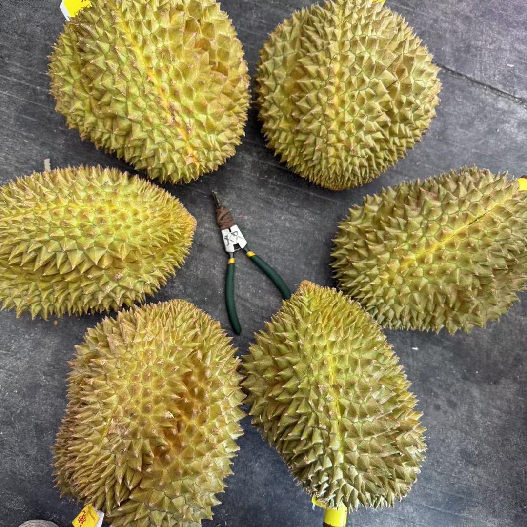 新农榴莲小时达