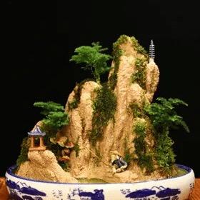 @艺伟园艺@假山盆景