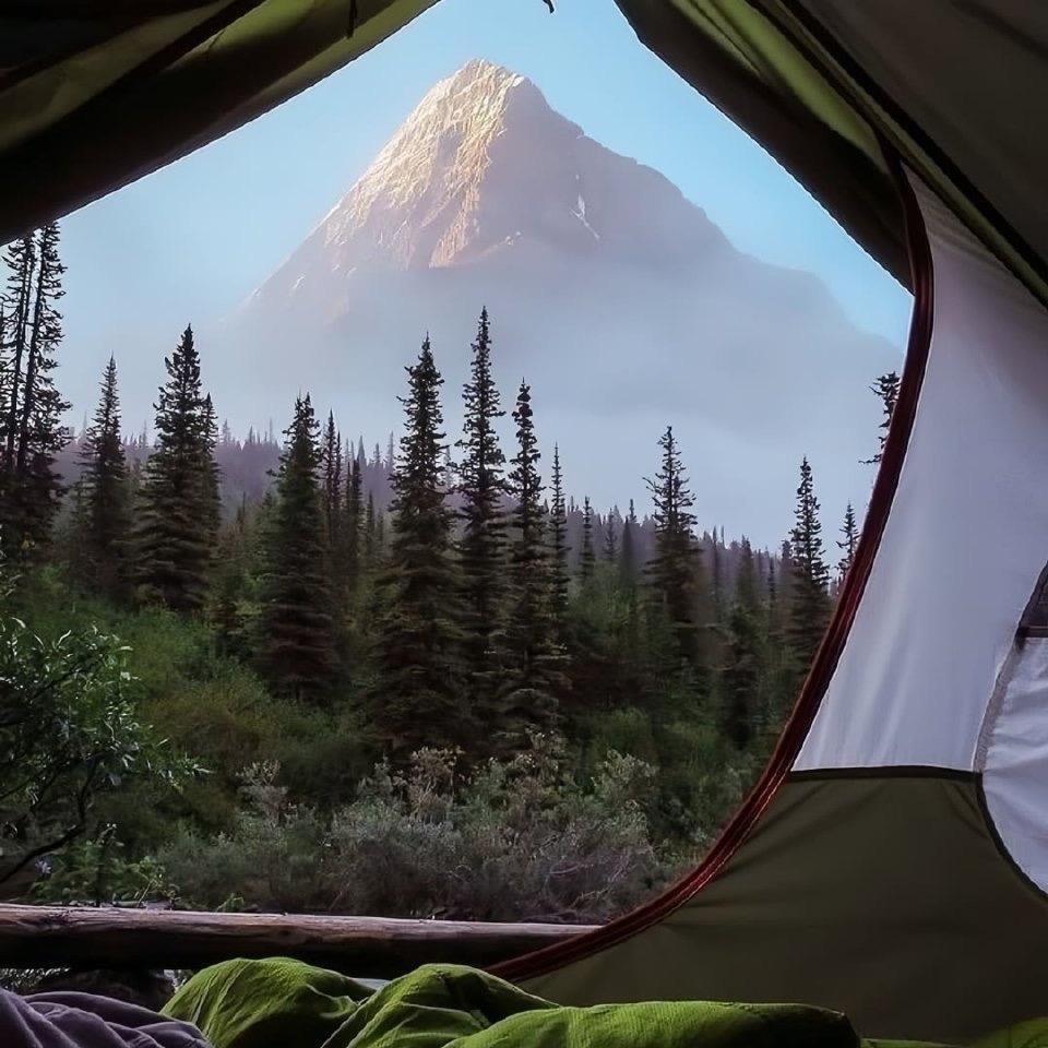 莱阳欣兴票务服务