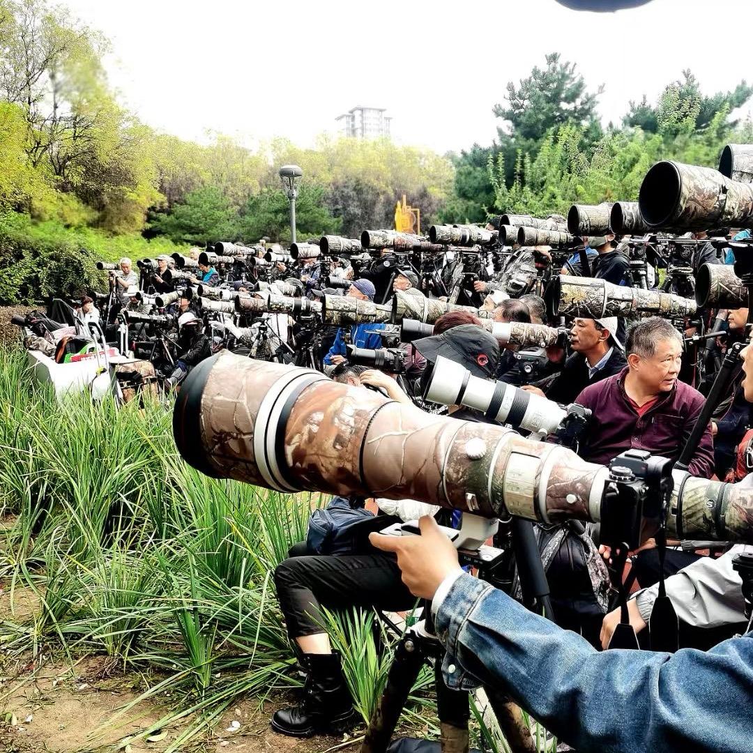 北京铭诚佳业商贸有限公司