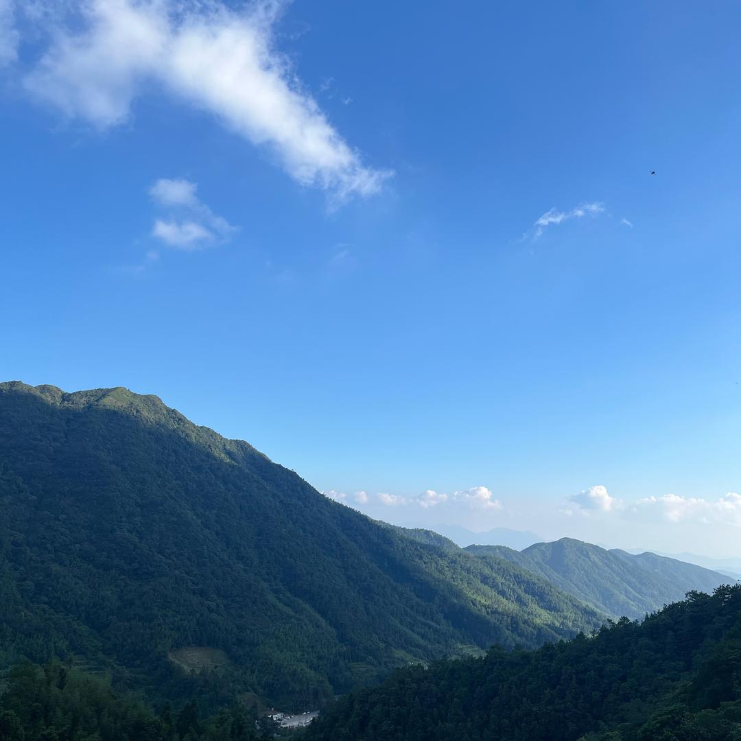 玥彤