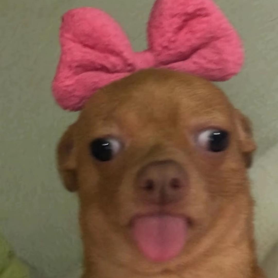 念念.