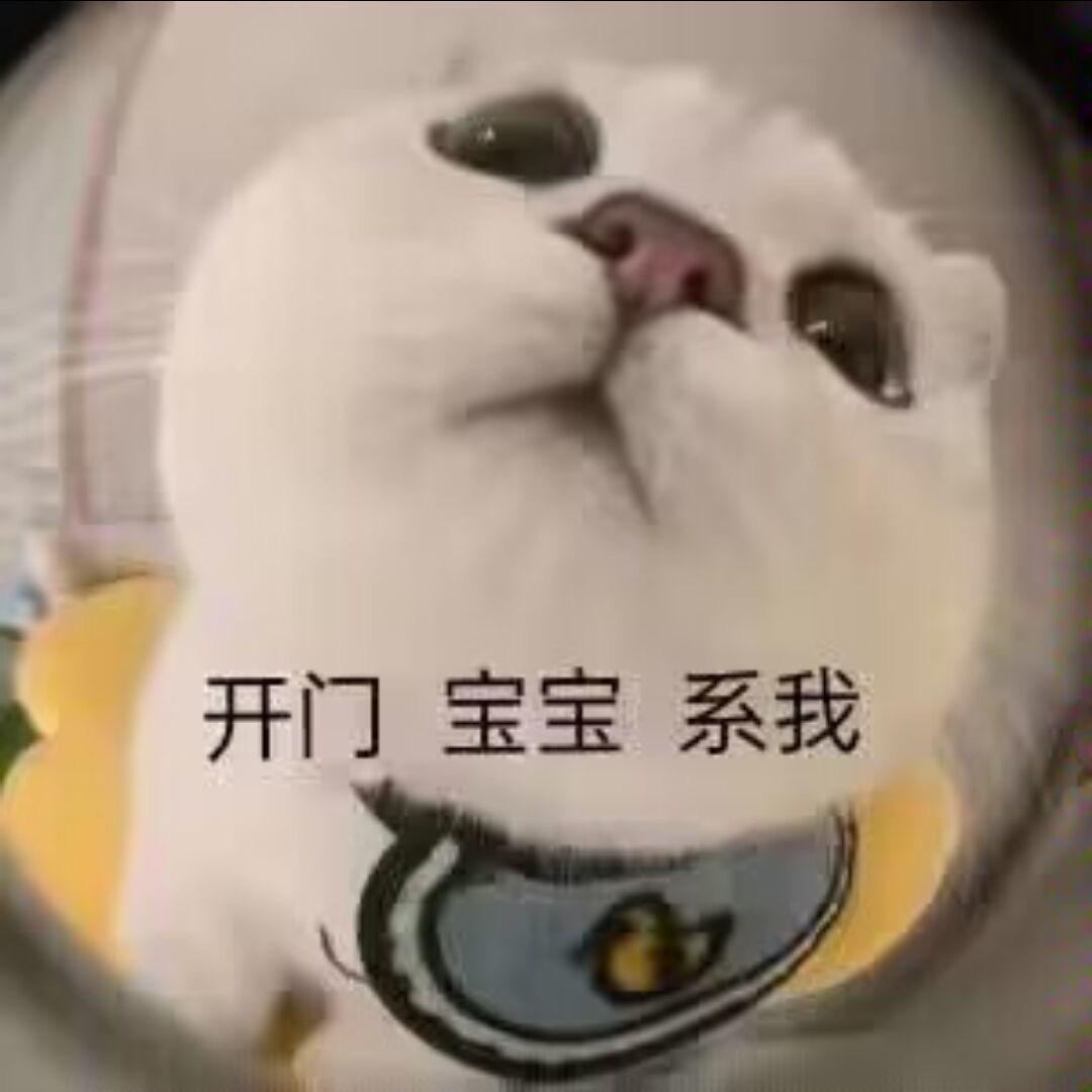 彤彤大王66