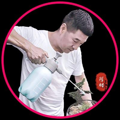 阿财（微景观）