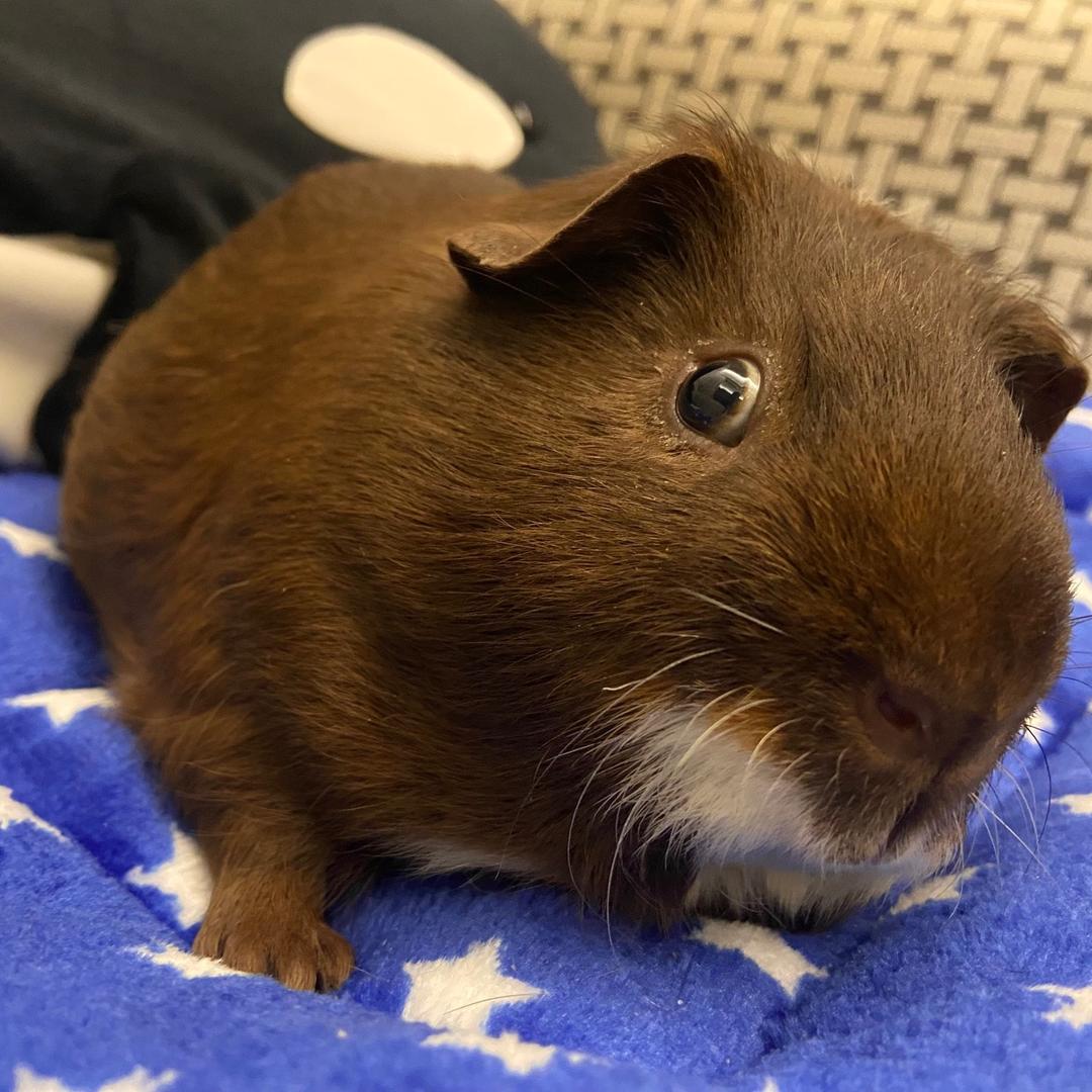 🐼动物世界🐼互关