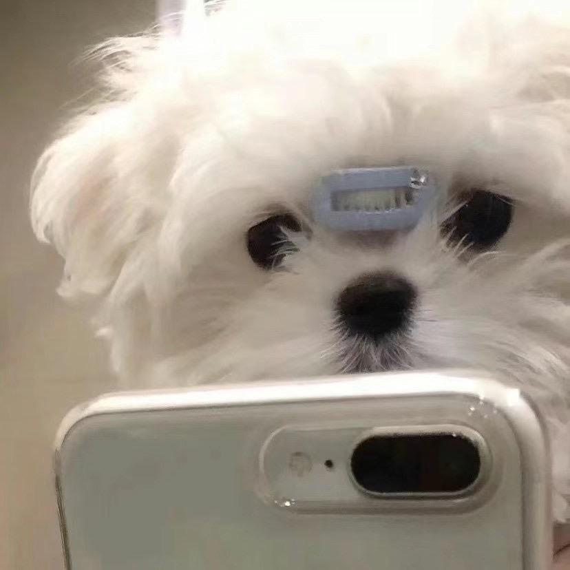我不想努力了