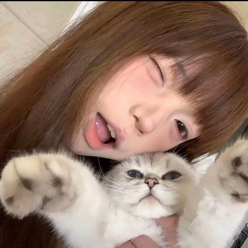 小南🐰