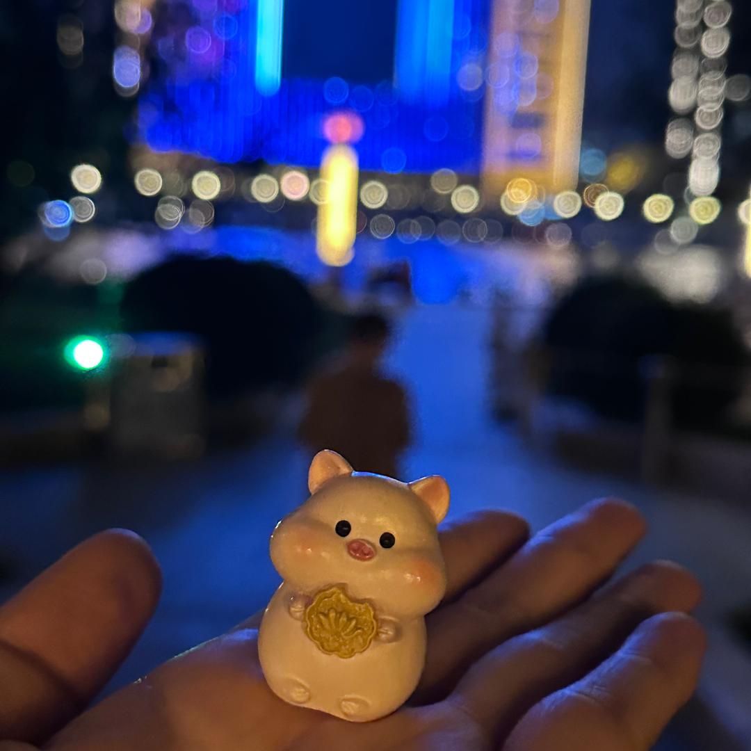 小马的快乐生活