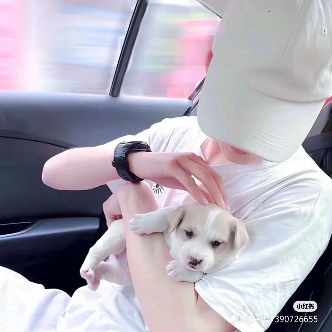 独꧁꫞꯭꫞꧂宠