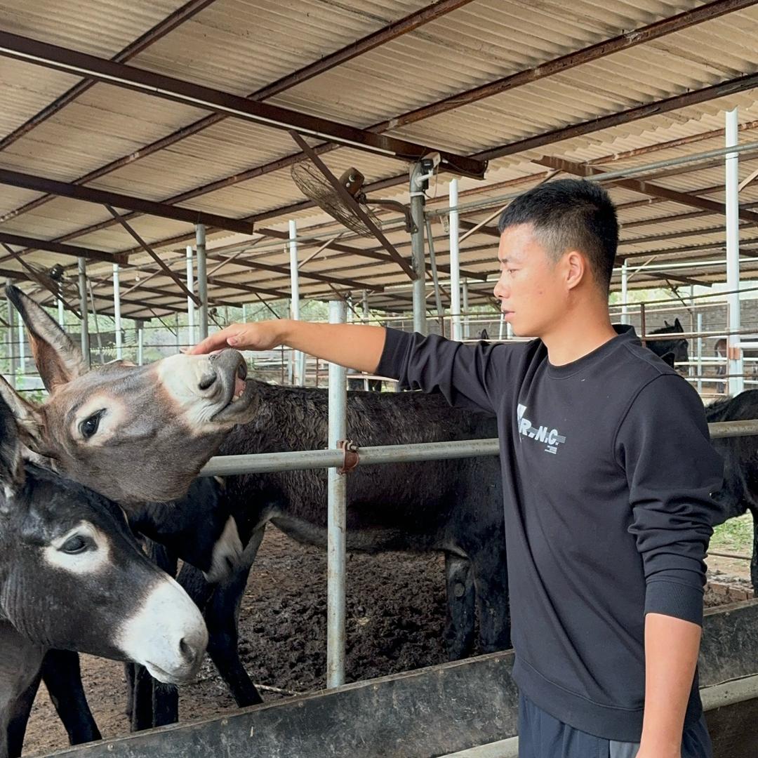 秦皇岛燕塞驴肉