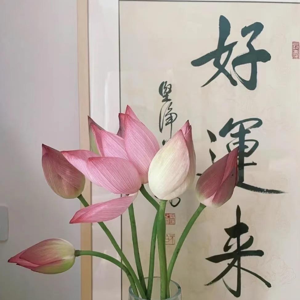@简简单单