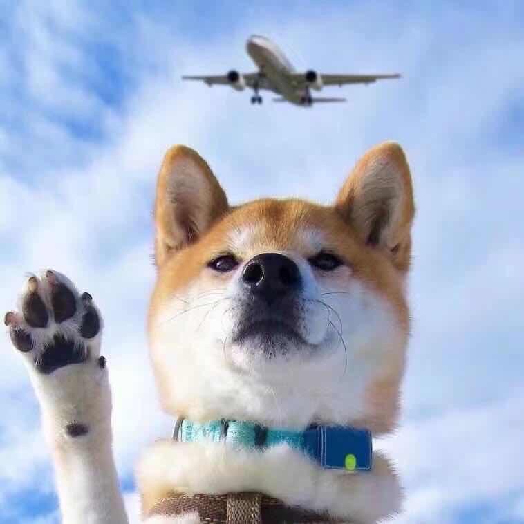 🌈十一