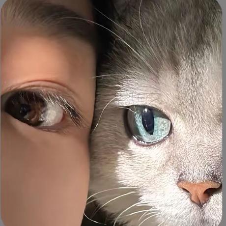 ❤️佳佳的新新