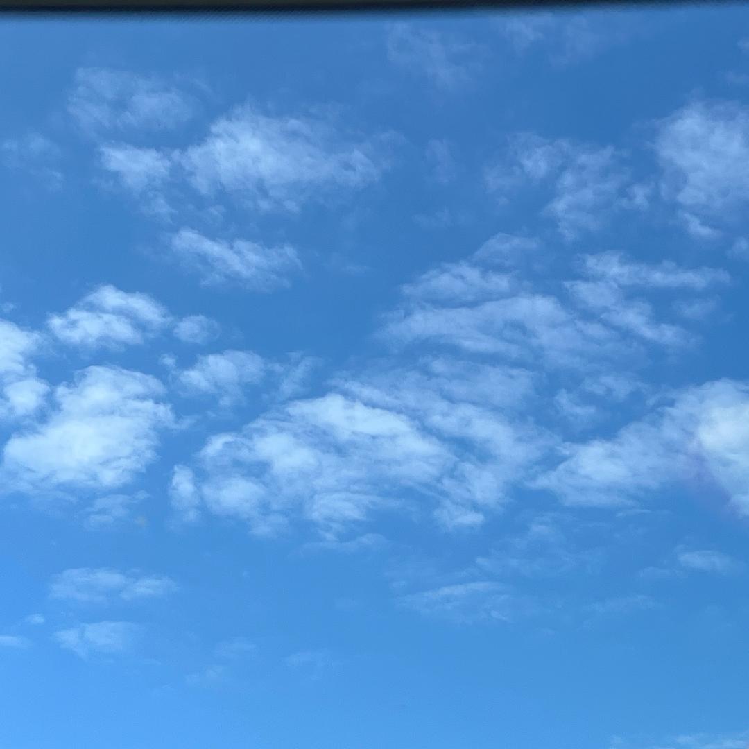 小号🎺团团子2