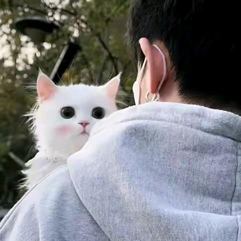 章婧存