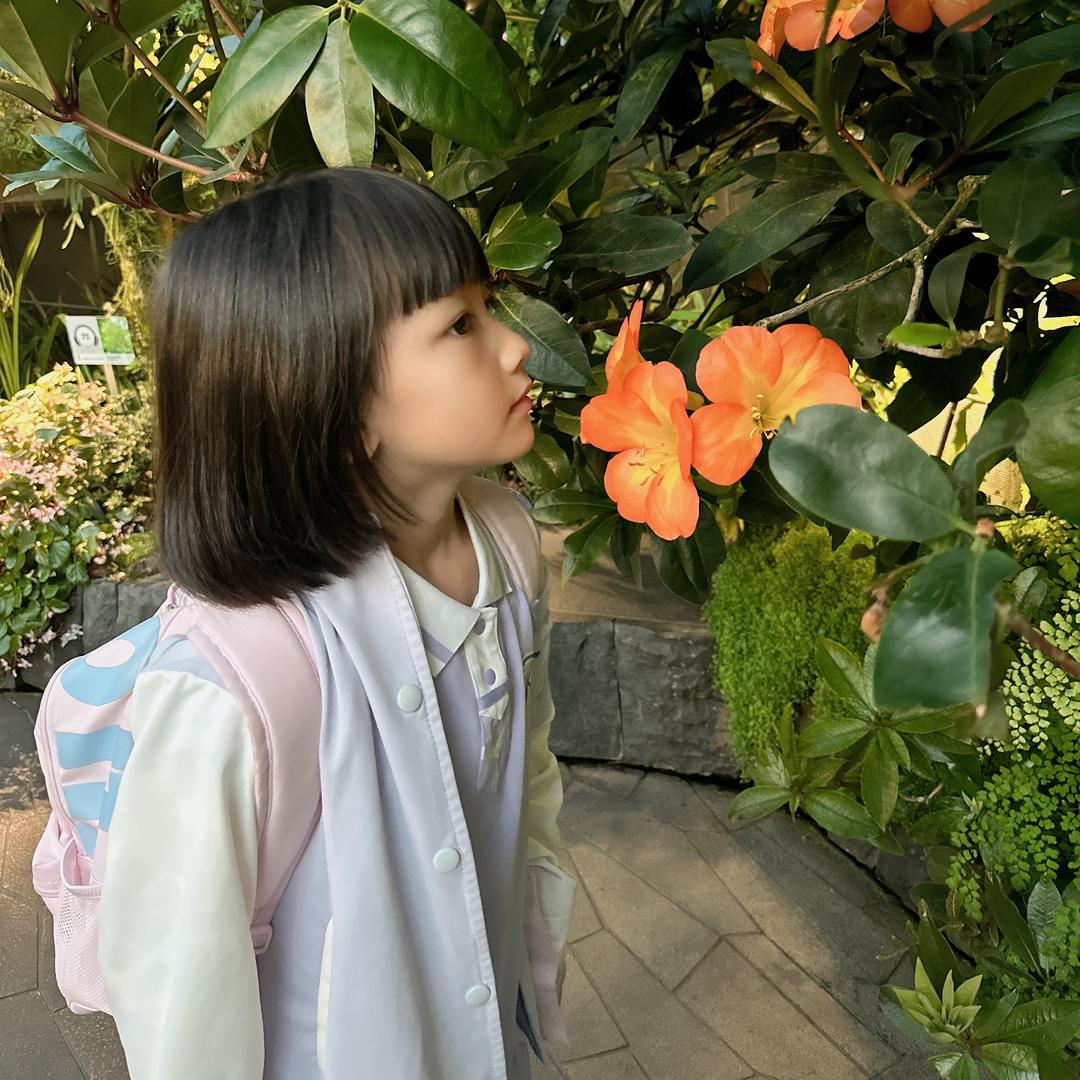 娜娜公主