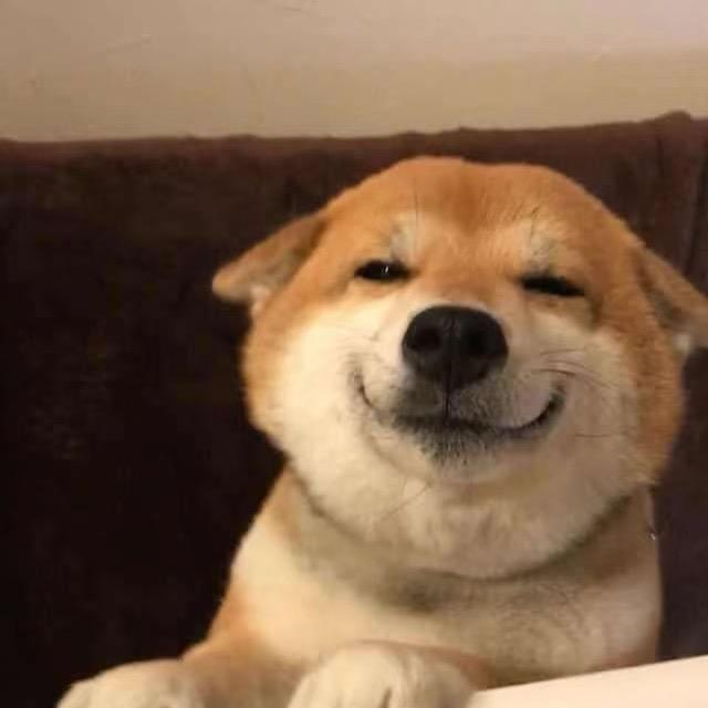 小怪兽柴柴家
