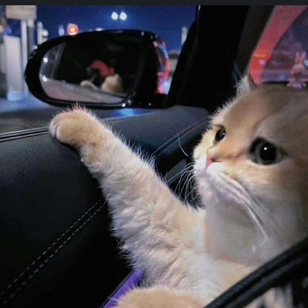 c_