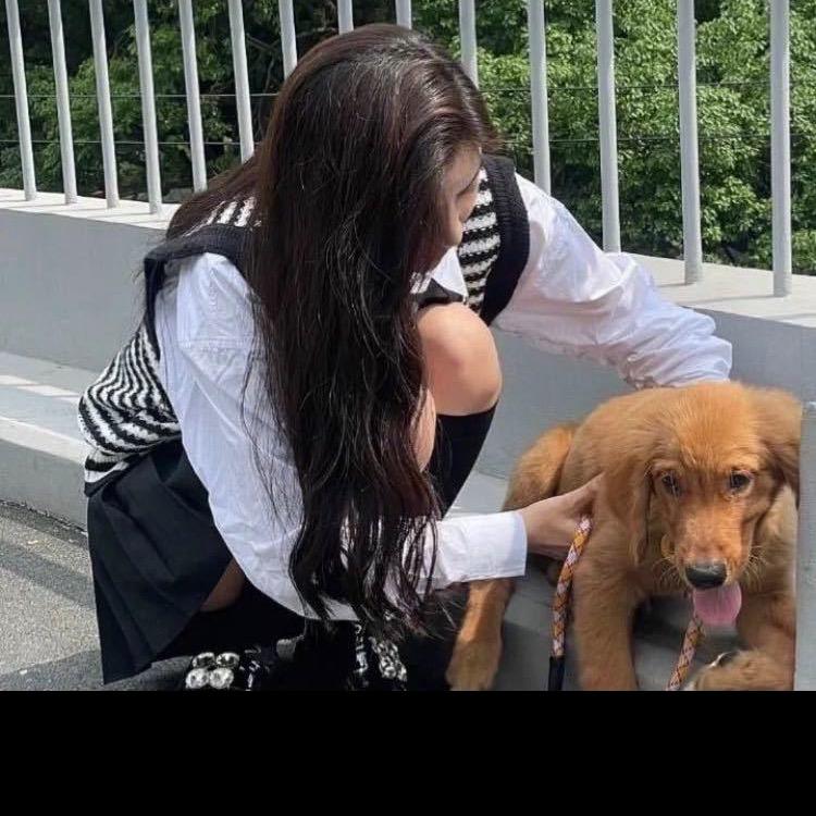 是你的大王 🔥