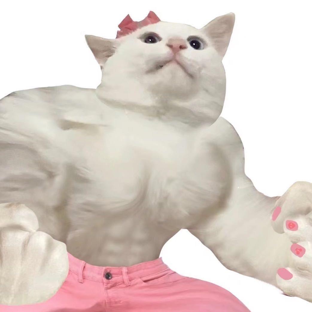 小蕾y