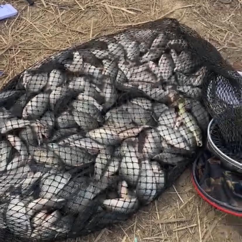 大山休闲垂钓🎣