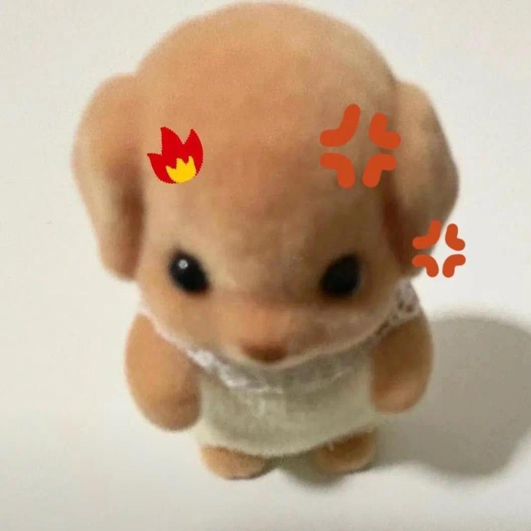 烂烂