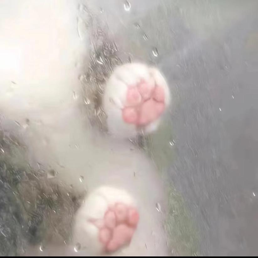 夏季芭乐沙呢