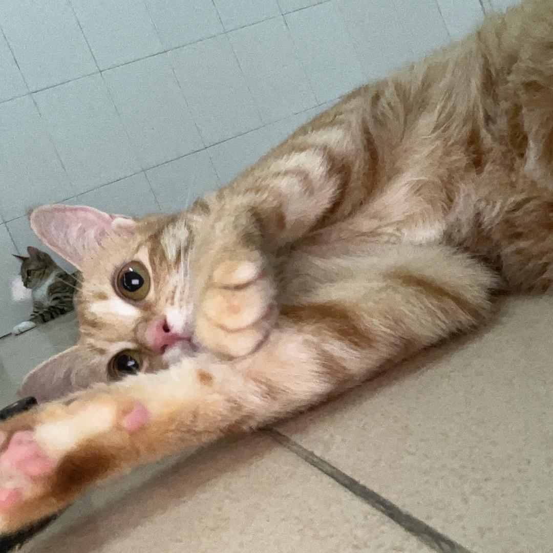 钱钱是什么宝贝🍊