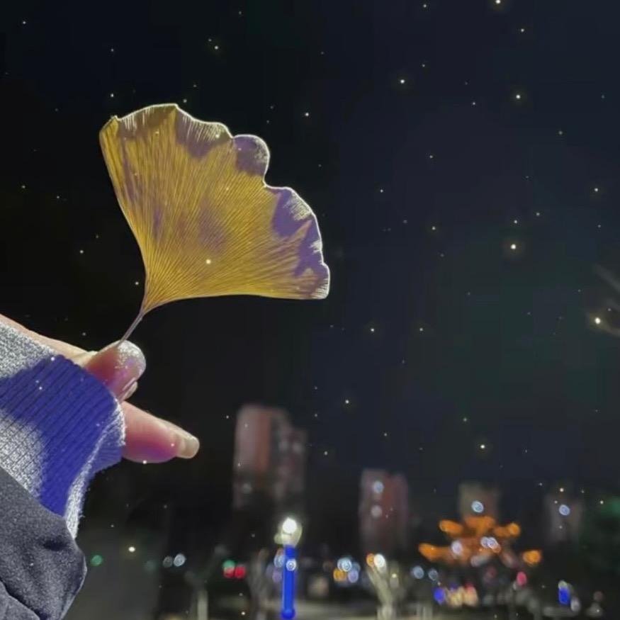 星辰@