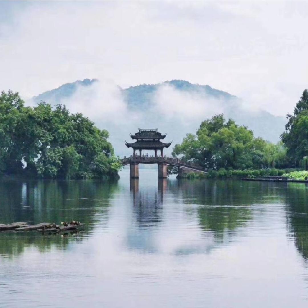 一姐。