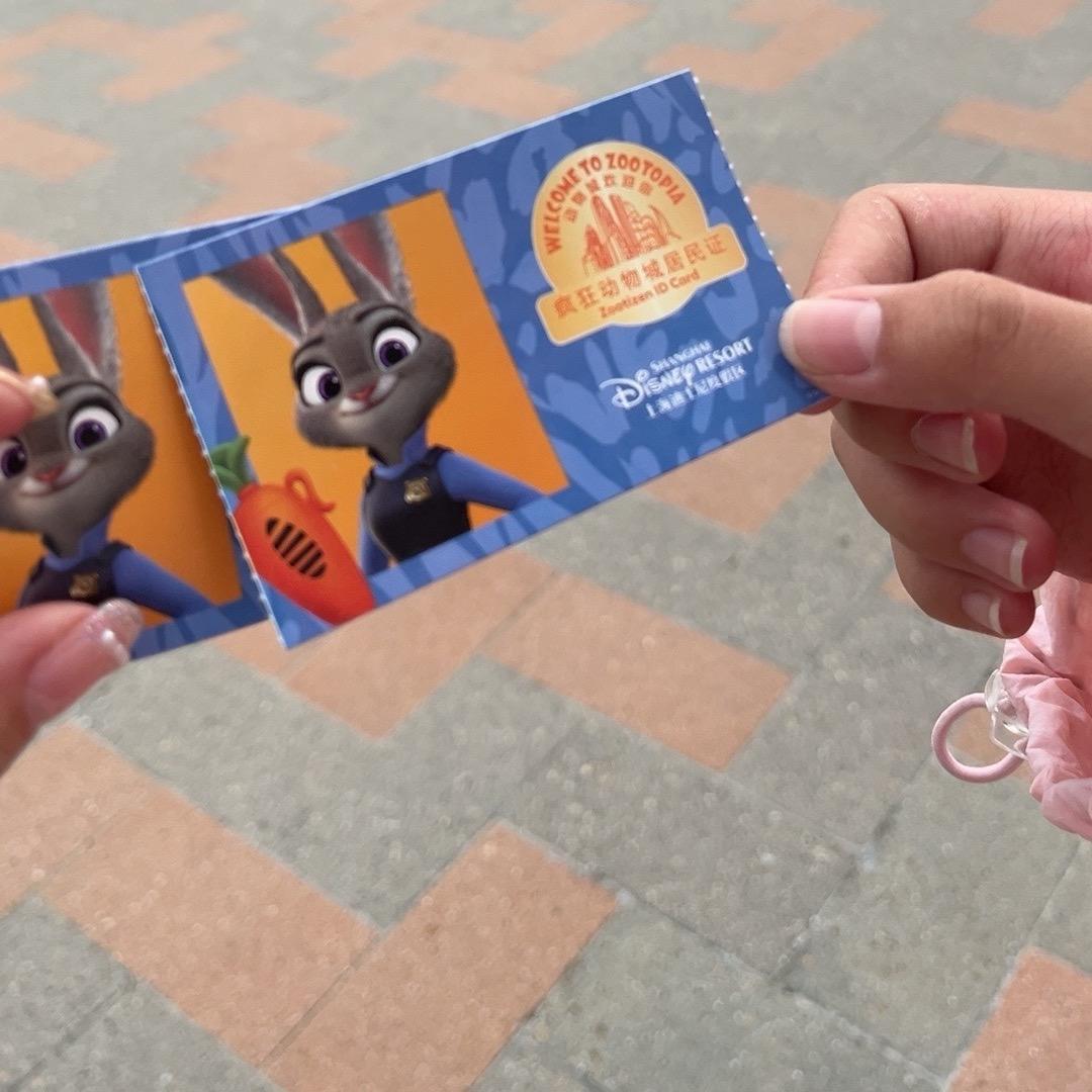 熊家二小姐🥰