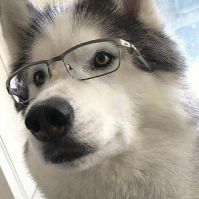 ZyF