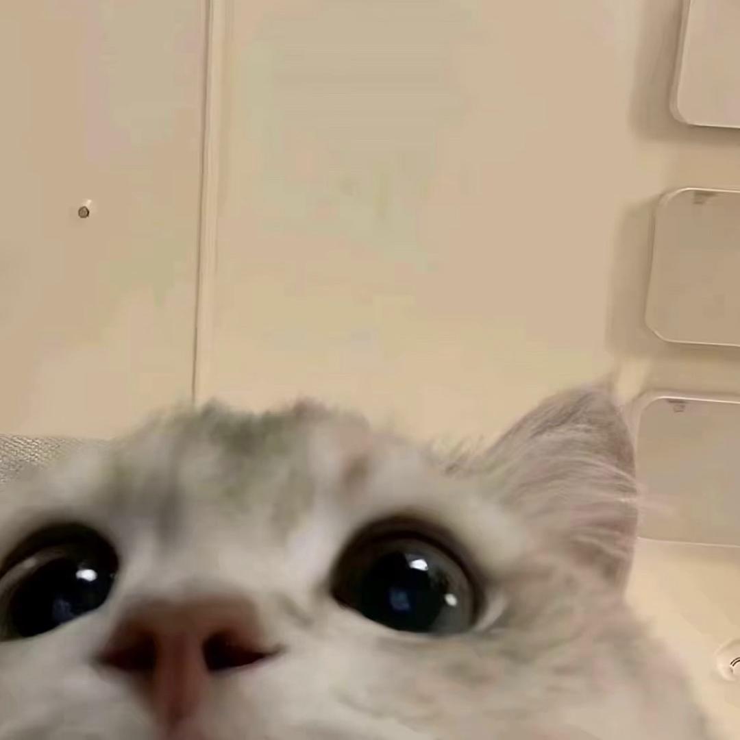 ㅤㅤㅤ