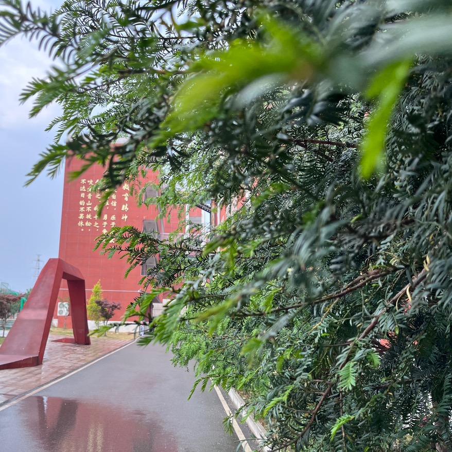 王小王