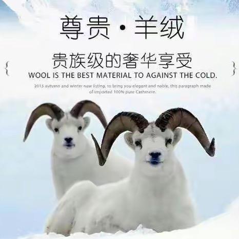 佰盈羊绒