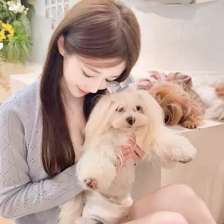 猜猜