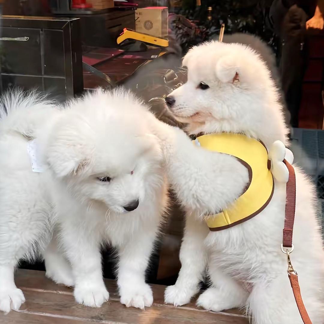还不困@