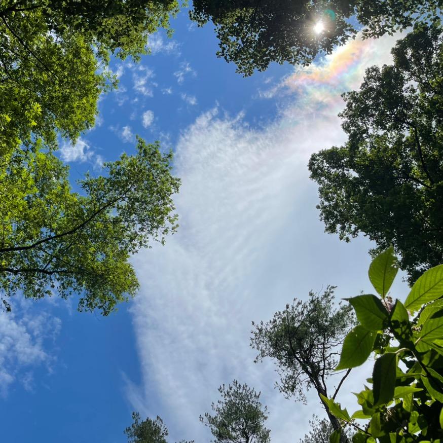 建筑资质 职称评审