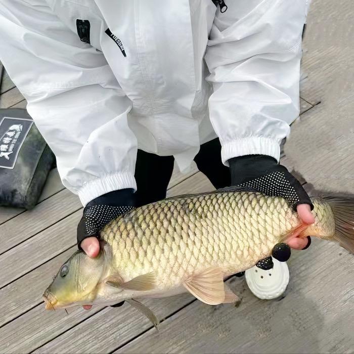 小于爱野钓🎣