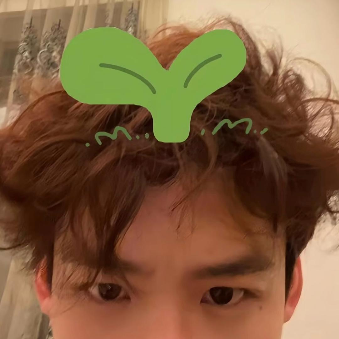 👑嗷嗷🕊️