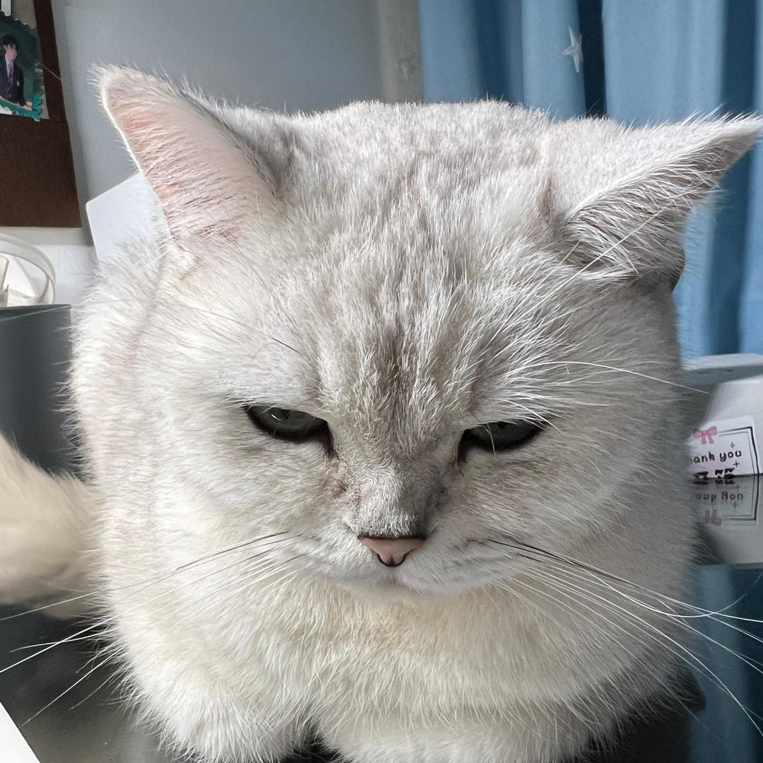 可乐加冰我的心