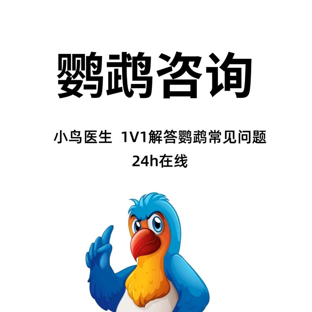 鹦鹉健康服务中心