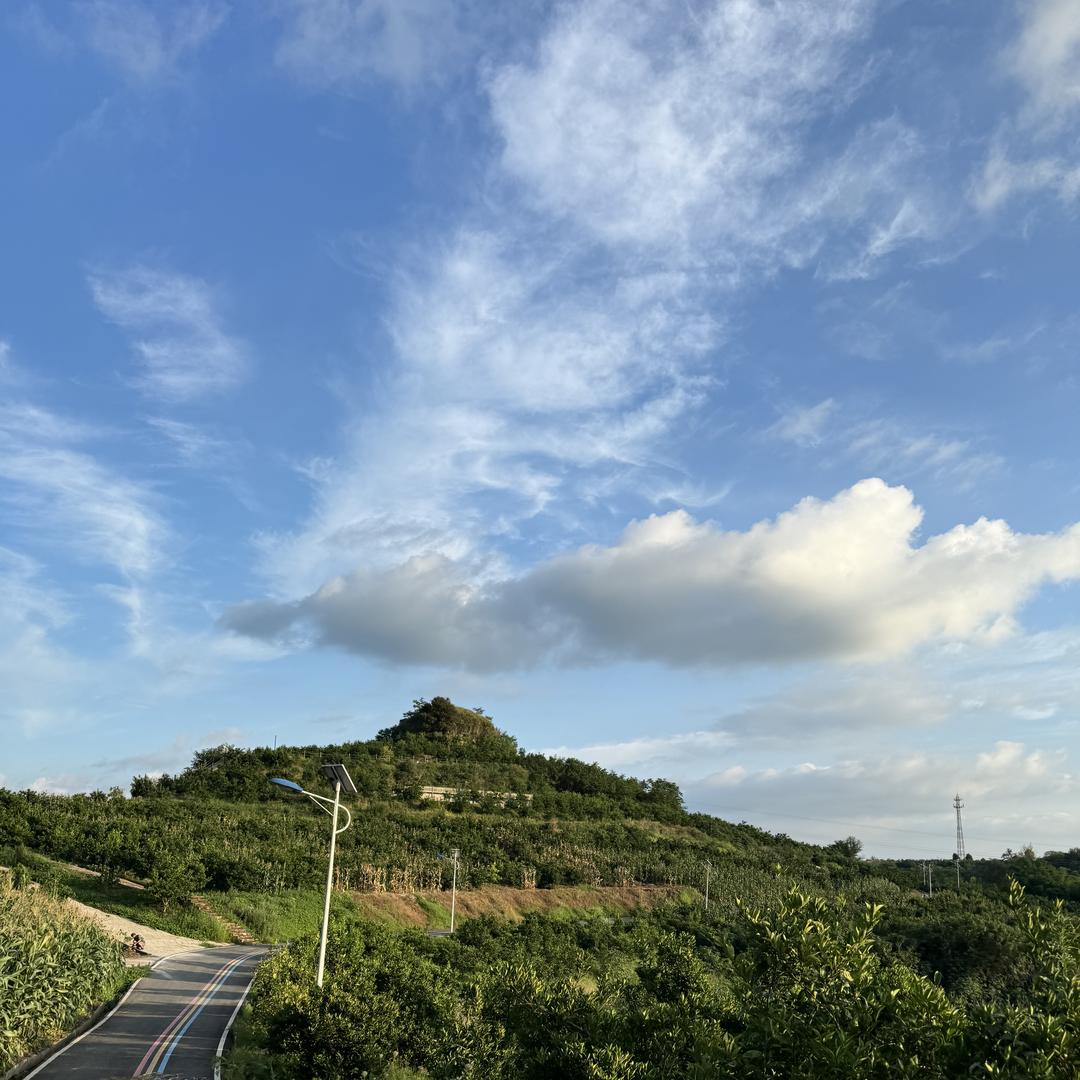 橙黄橘甄选