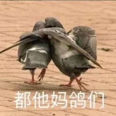 马喽的生活碎片